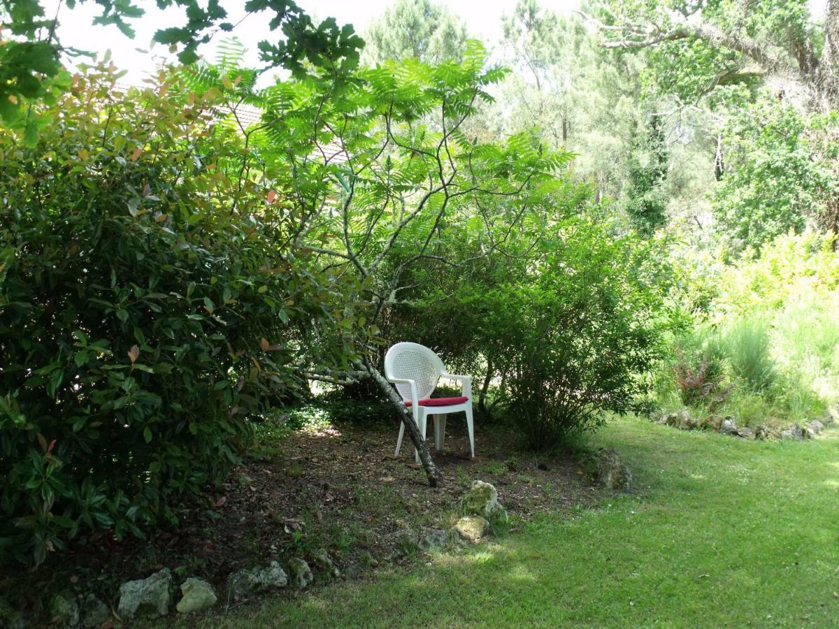 Les Hotes Landes Saint-Gor Ngoại thất bức ảnh